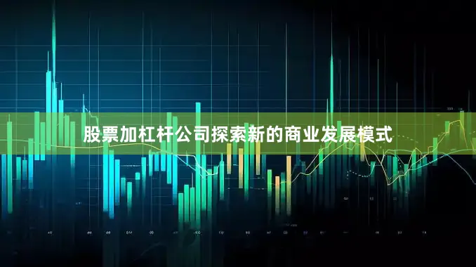 股票加杠杆公司探索新的商业发展模式