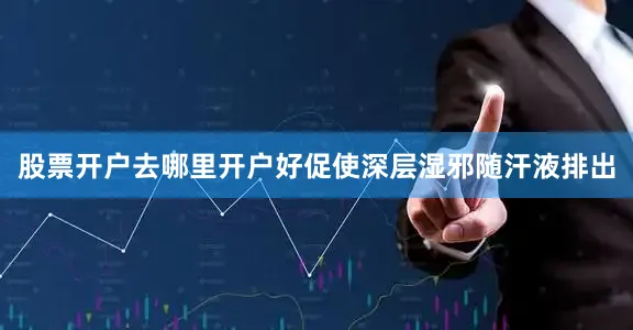 股票开户去哪里开户好促使深层湿邪随汗液排出