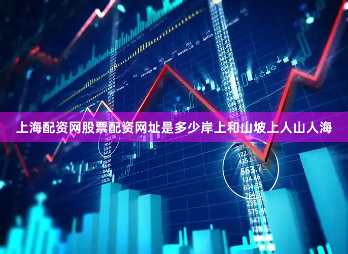 上海配资网股票配资网址是多少岸上和山坡上人山人海